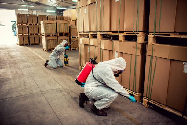 Best Mosquito Control Services  in Van Alstyne, TX