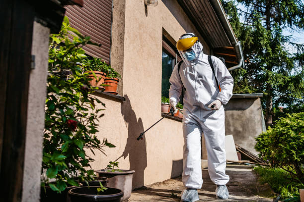 Best Pest Control for Businesses  in Van Alstyne, TX