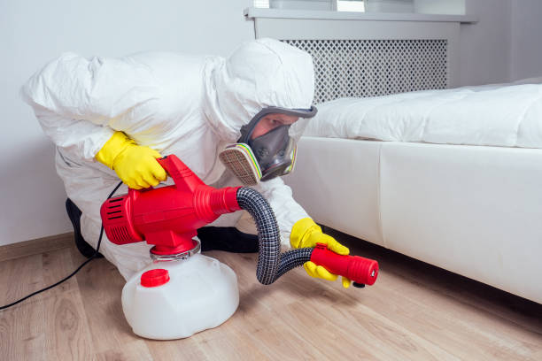 Best Ant Control Services  in Van Alstyne, TX
