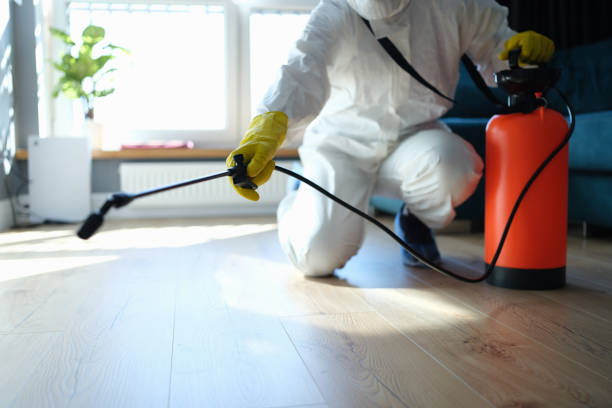 Best Termite Control Services  in Van Alstyne, TX