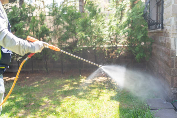Best Best Pest Control Companies  in Van Alstyne, TX