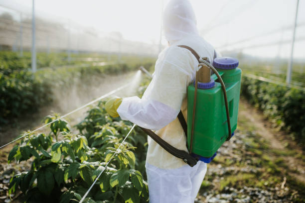 Professional Pest Control in Van Alstyne, TX